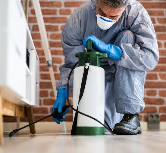 Expert Pest Control Services: Eliminating Pests with Precision