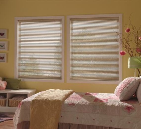 Blinds Elegance: Dressing Windows, Elevating Homes