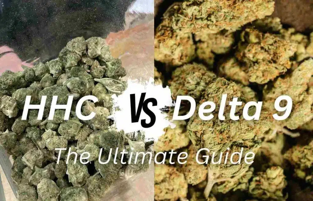 Is HHC or Delta 9 Stronger? Analyzing Cannabinoid Strength